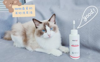 怎样给猫咪清洁耳朵(怎样给猫咪清洁耳朵最好)