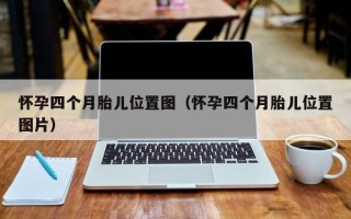 怀孕四个月胎儿位置图（怀孕四个月胎儿位置图片）