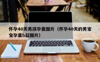 怀孕40天男孩孕囊图片（怀孕40天的男宝宝孕囊b超图片）