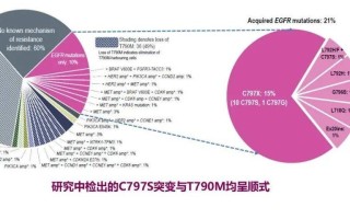 生殖细胞突变只影响后代吗男女(突变只有发生在生殖细胞中才能遗传给后代)