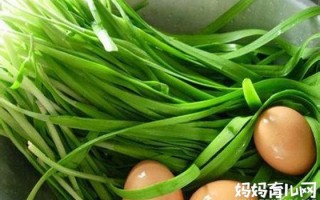 孕妇能吃韭菜吗中期(孕妇能吃韭菜吗中期?)