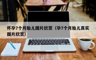 怀孕7个月胎儿图片欣赏（孕7个月胎儿真实图片欣赏）