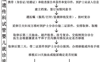 关于做试管婴儿的全部流程(单身男人做试管婴儿的全部流程)的信息