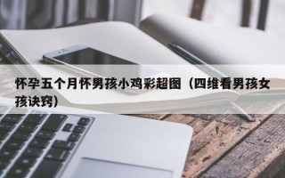 怀孕五个月怀男孩小鸡彩超图（四维看男孩女孩诀窍）