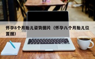 怀孕8个月胎儿姿势图片（怀孕八个月胎儿位置图）