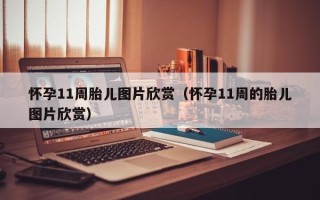 怀孕11周胎儿图片欣赏（怀孕11周的胎儿图片欣赏）