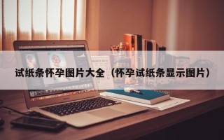 试纸条怀孕图片大全（怀孕试纸条显示图片）