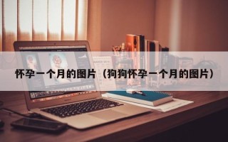 怀孕一个月的图片（狗狗怀孕一个月的图片）