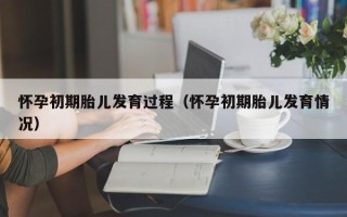 怀孕初期胎儿发育过程（怀孕初期胎儿发育情况）