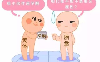 试管婴儿泰果果(泰国试管胎成功率)