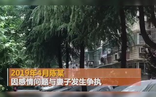 南京碎尸案的真相图片(南京碎尸案的真相图片视频)