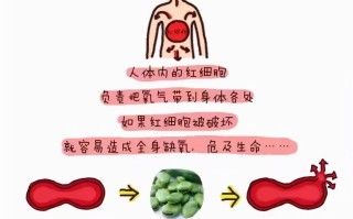 蚕豆病孩子母亲饮食(蚕豆病婴儿母乳妈妈需忌口吗)