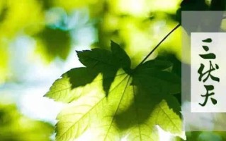 秋日养生先养心(秋季养生之道经典句子)