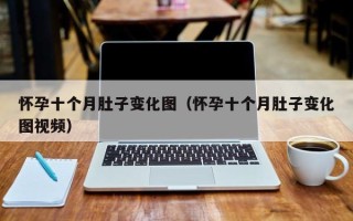 怀孕十个月肚子变化图（怀孕十个月肚子变化图视频）