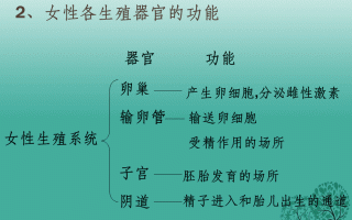 知识点人的生殖与发育(人的生殖发育方式是什么)