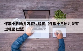 怀孕十月胎儿发育过程图（怀孕十月胎儿发育过程图肚型）