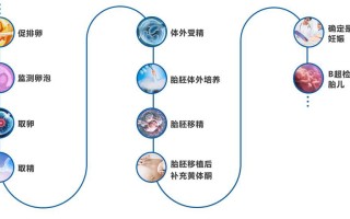 试管婴儿移植过程用多少时间(试管婴儿移植过程用多少时间做一次)