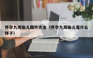 怀孕九周胎儿图片大全（怀孕九周胎儿是什么样子）