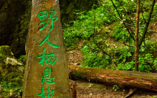 神农架野人(神农架野人是否存在)