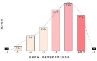 一胎自然怀孕试管婴儿二胎成功率(一胎自然怀孕试管婴儿二胎成功率是多少)