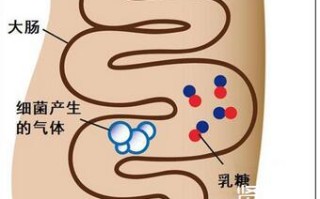 宝宝乳糖不耐受妈妈饮食上应该注意什么(宝宝乳糖不耐受妈妈饮食上应该注意什么呢)