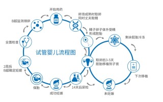 国外那家医院做试管婴儿好(在国外做试管婴儿去哪个国家最好)