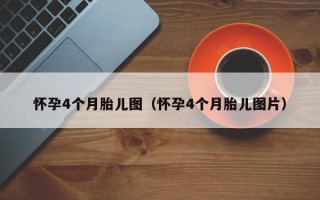 怀孕4个月胎儿图（怀孕4个月胎儿图片）