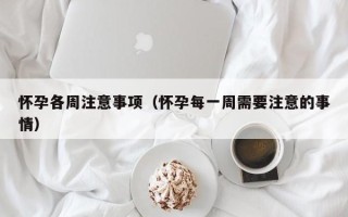 怀孕各周注意事项（怀孕每一周需要注意的事情）