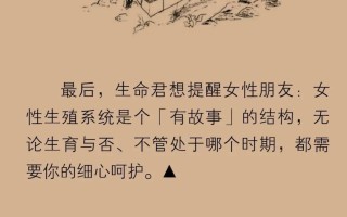 男女性生殖图(男女性生殖图示各结构)