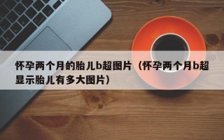 怀孕两个月的胎儿b超图片（怀孕两个月b超显示胎儿有多大图片）