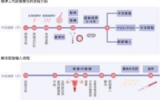 为什么试管着床后就不发育(试管婴儿着床后不发育了怎么回事)