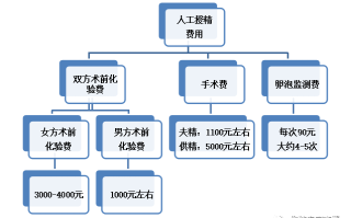 试管婴儿国外花费明细表(试管国外好还是国内好)