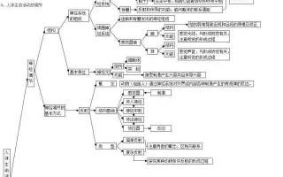 思维导图比较男女生殖系统(列表比较男女生殖系统的组成)