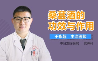 桑葚酒的功效与作用禁忌(桑葚酒的泡法和制作方法)