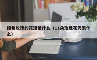 绿色玫瑰的花语是什么（11朵玫瑰花代表什么）