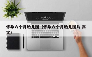 怀孕六个月胎儿图（怀孕六个月胎儿图片 真实）