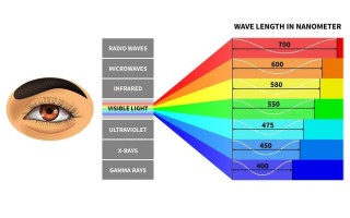 如何知道人类看见的紫光是400nm的可见光，还是红光和蓝光合成的紫光？这两种光人眼能区别吗？的简单介绍