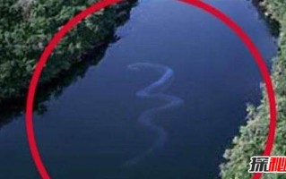 安徽巨蟒渡劫事件(安徽巨蟒渡劫事件是真的吗)