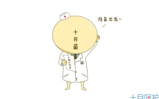 四个月引产下的胎儿男女生殖器(四个月引产下来的胎儿怎么看男女)