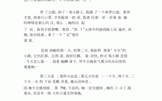 令我敬佩的清洁工400字作文(令我敬佩的清洁工400字作文怎么写)