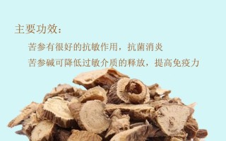 苦参的功效与作用(苦参的功效与作用及禁忌)