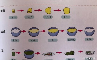 宝宝12个月了饮食安排(12个月的宝宝饮食应该怎么吃)