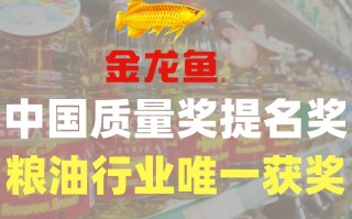 金龙鱼是哪个国家的品牌(金龙鱼是哪个国家的品牌老板是谁)