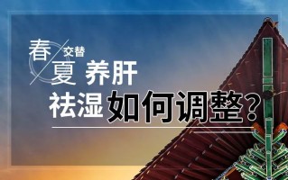 了解更多护发养生小知识(了解更多护发养生小知识有哪些)