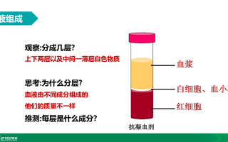 甲试管出现分层现象(甲试管出现分层现象怎么办)