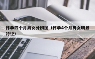 怀孕四个月男女分辨图（怀孕4个月男女明显特征）