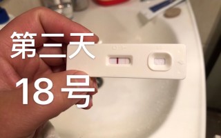 什么是试管婴儿囊胚冷冻(什么是试管婴儿囊胚冷冻手术)