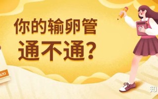 双侧输卵管堵塞怎么做试管(双侧输卵管堵塞怎么做试管移植)