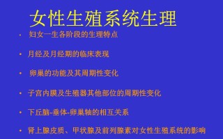 用生殖系统知识解释月经的简单介绍