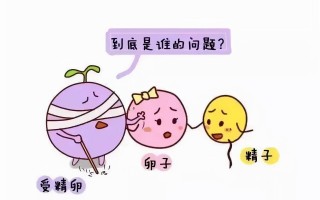 黄体功能不足怎么备孕(黄体不足和气血虚有关吗)